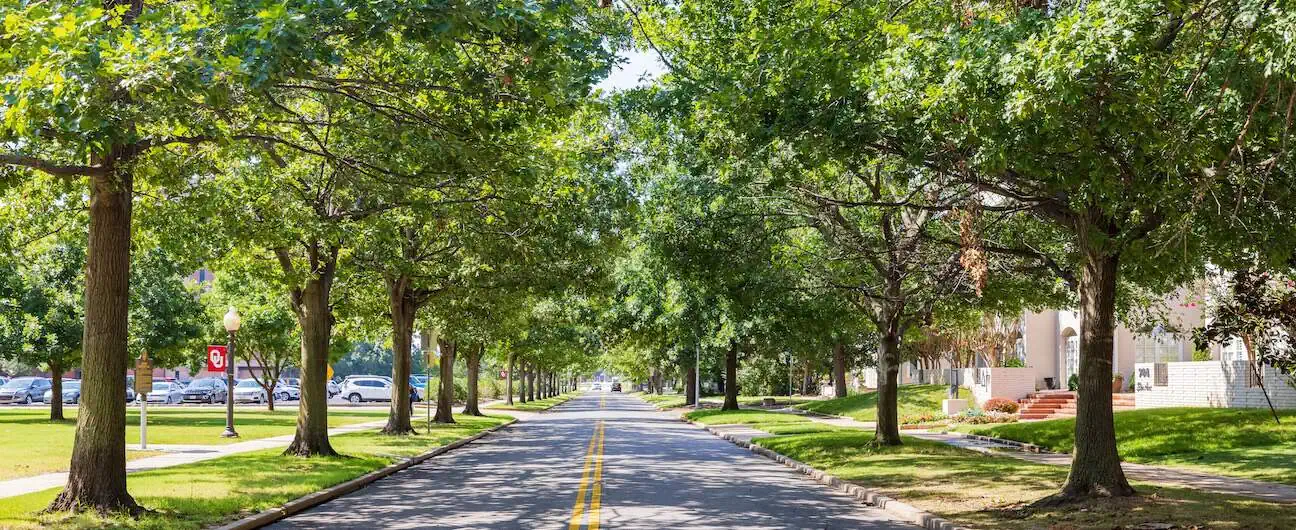 A view of trees lining a street that passes by homes near the University of Oklahoma in Norman, OK