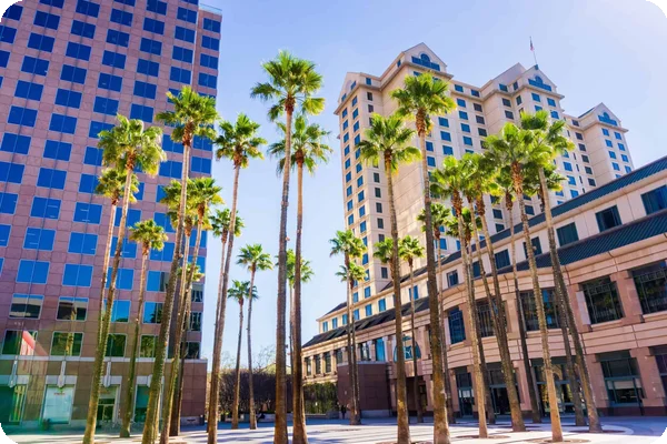 HA circle of palm trees in a courtyard in downtown San Jose