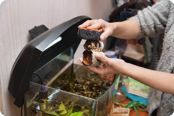 A person lifts up rocks from an aquarium to dry and prepare them for storage