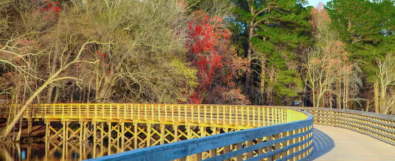 A bridge going over Lake Wilson and leading to a bank full of trees in fall colors, near Wilson, NC