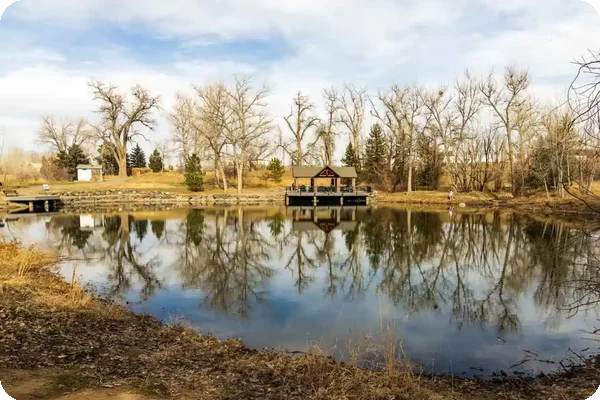 Quiet pond in Highlands Ranch reflecting leafless winter trees and a small wooden pavilion on the water.