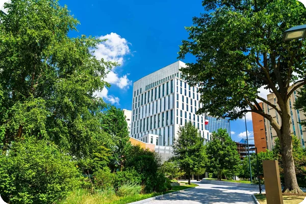 A view of green trees and a path on a campus in the University City neighborhood of Philadelphia