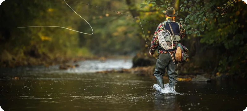 ugly stik gx2 6' medium Spinning Rod Color:Black Back Chart and eye no-wholesale Video: How to Cook