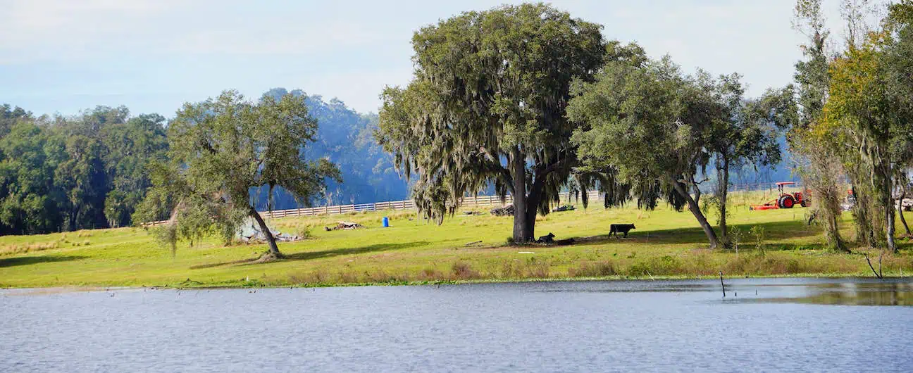 Middle Lake Park in Wesley Chapel, FL