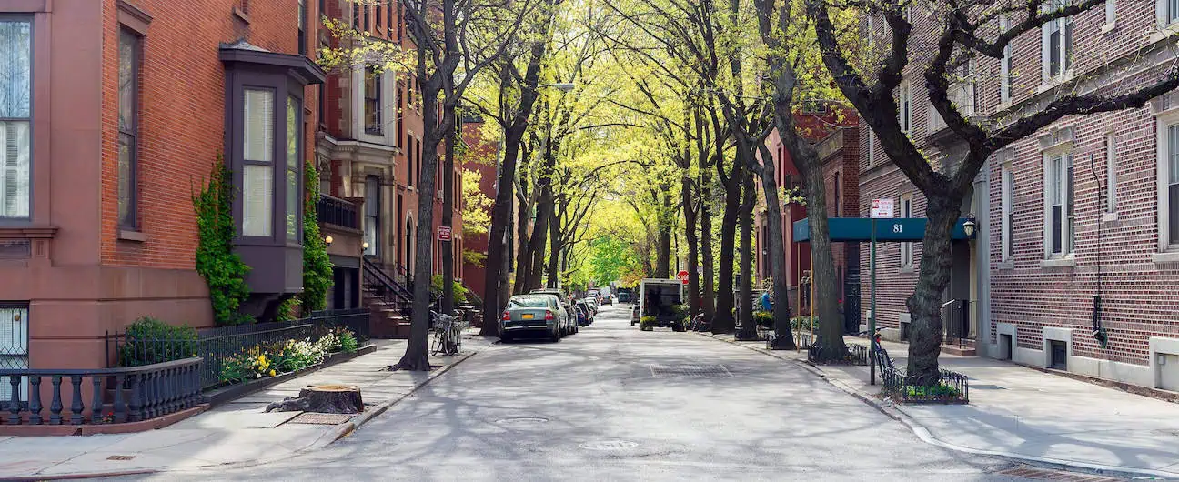 A view of a street lined with trees and parked cars in Brooklyn, NYC