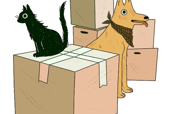 pets