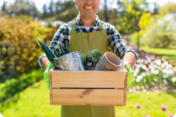 a man carries some of the tools needed to move a greenhouse, like a small spade and bucket, in a wooden box.