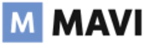 MAVI_Berlitz_logo.png