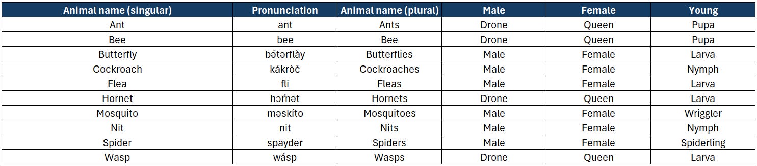 Insects.png