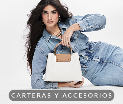 Carteras y accesorios aldo