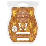 scentwaxbarisoscaless24pws74168f9659b14da28e4ac24dfb264412_highres.webp