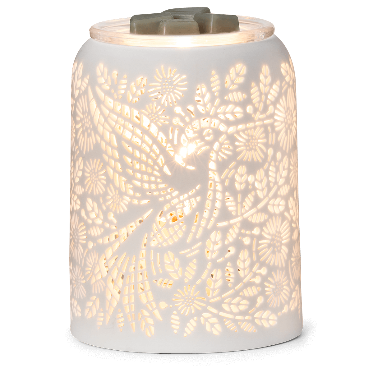 Etched Hummingbird Warmer