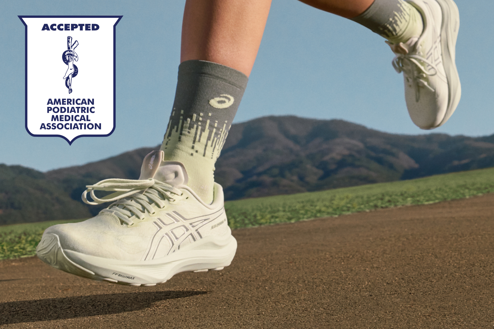 ASICS GT-2000™ 14: Everything You Need to Know