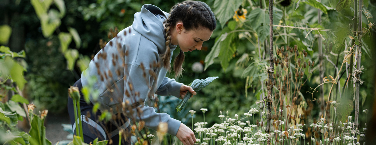 Women picking leaves off trees