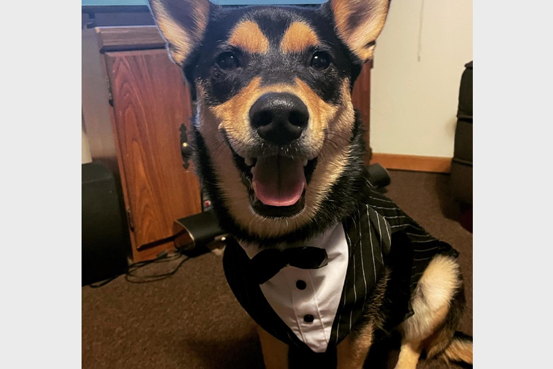 Cooper