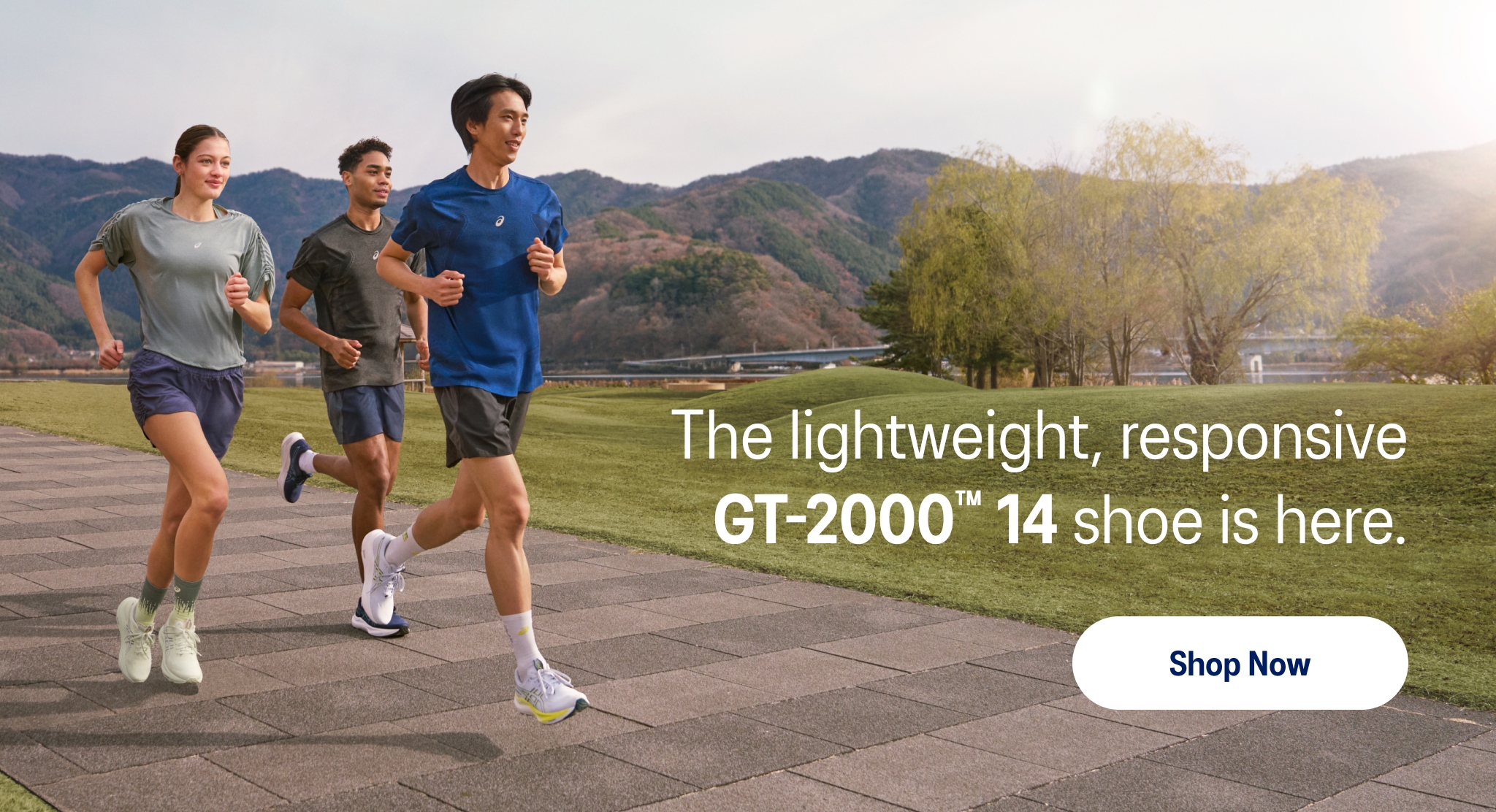 ASICS GT-2000 14 Running Shoe