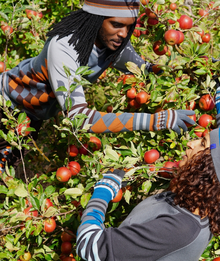 ASICS Sportstyle Novalis coming soon