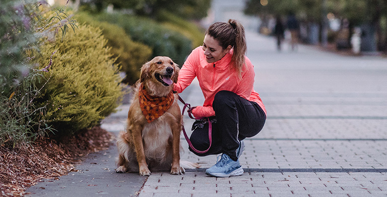 The Best Tips for Running With Your Pet