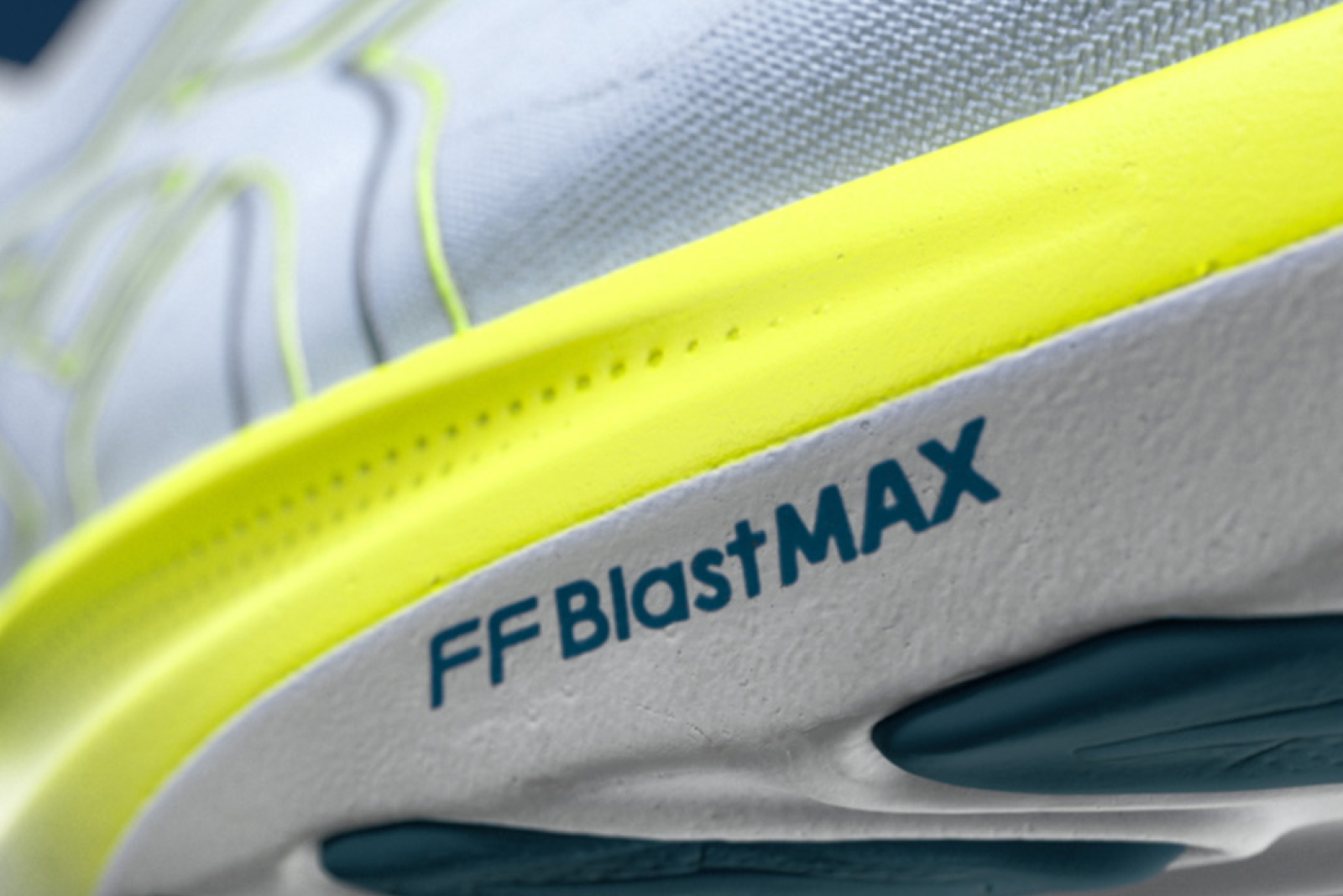 ASICS GT-2000™ 14: Everything You Need to Know