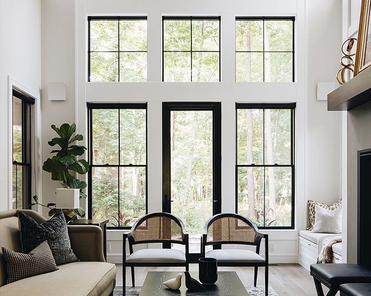 social hinged door with windows