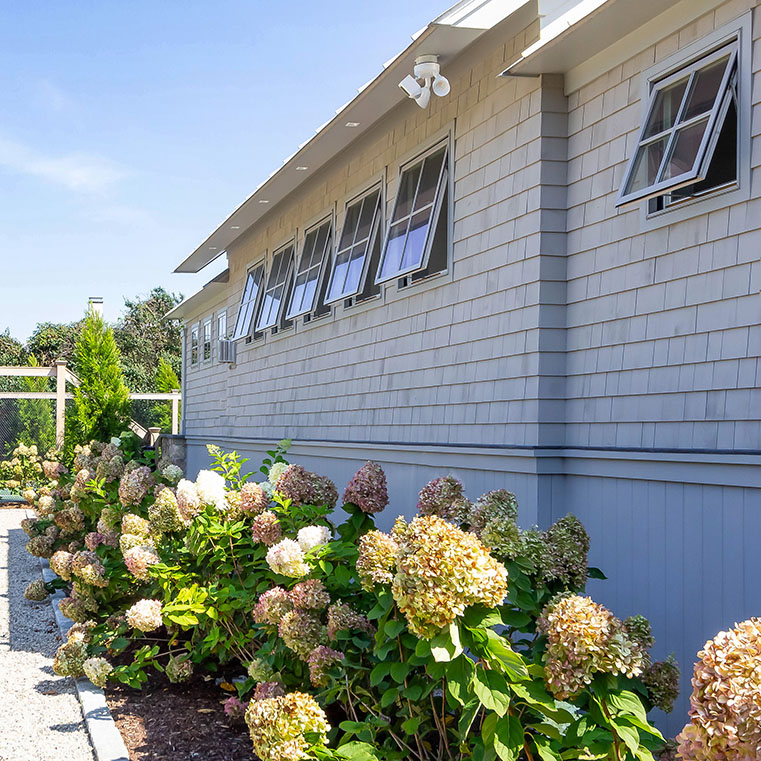 Coastal home exterior with blooming hydrangeas and gray shingle siding