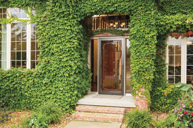 Full view glass screen door surrounded by green ivy on home’s entryway.
