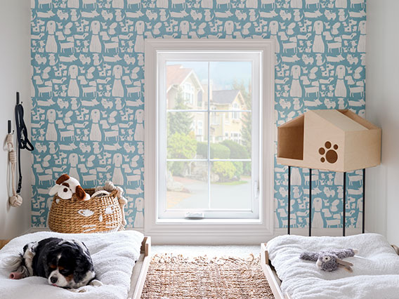 pet's bedroom that has colorful wallpaper and a low-sitting casement window