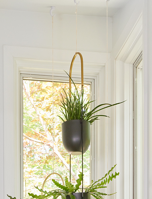 three hooks in the ceiling hold the hanging greenery baskets over a corner window