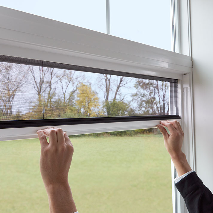 Testing out a Pella Rolscreen.