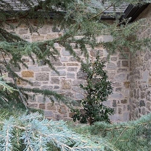 fir tree branches in front of an exterior stone wall of an Oklahoma-area home