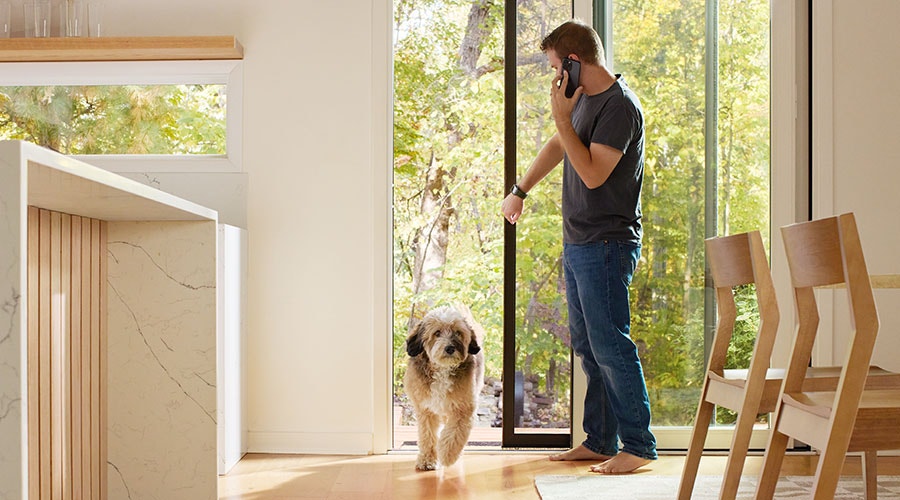 a black dog sits by patio doors with blinds-between-the-glass