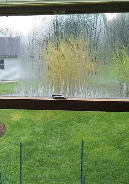 Image of an old window in an Amherst house with condensation issues.