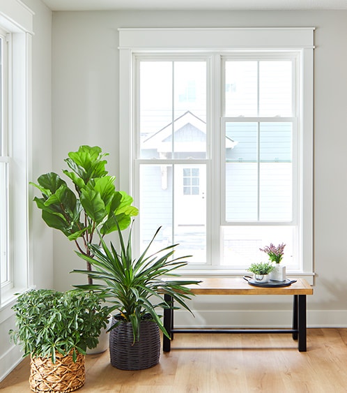 a two-wide vinyl window frames the corner of a home with plenty of greenery