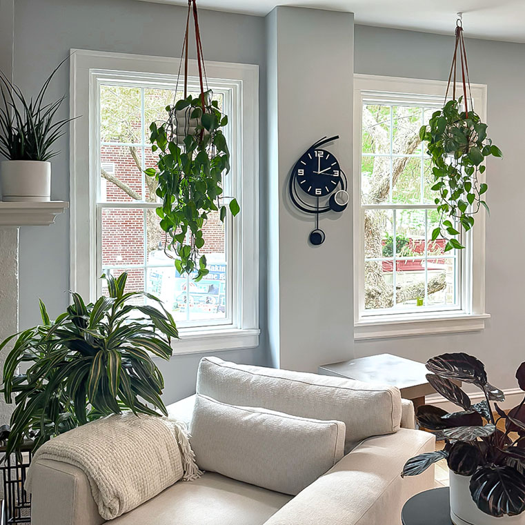A cozy living room with two large windows, hanging plants, a modern clock on the wall, and comfortable seating