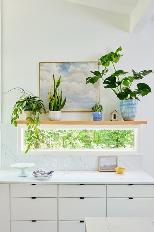An all-white kitchen wall and counter frame the backdrop for several pieces of greenery around a small fixed window