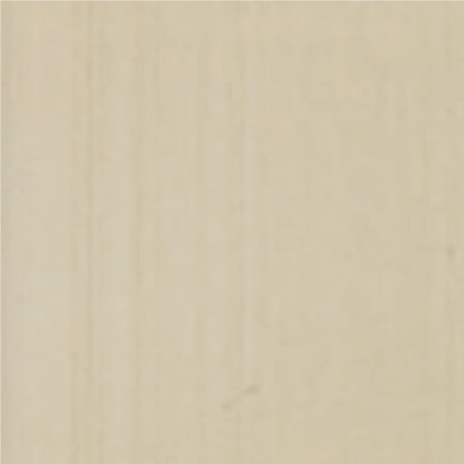 Anodized Champaign swatch