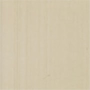 Champagne Anodized Champaign swatch