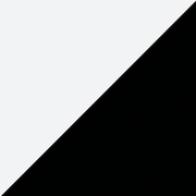 White Interior with Black Exterior A sample of a dual frame color, consisting of black on one side and white on the other.
