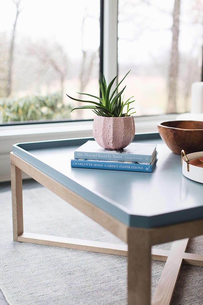 Sunroom Windows and Aesthetic Coffee Table with Succulent