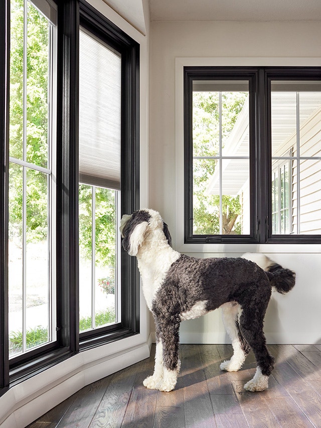 A black bow window in a modern interior with wooden flooring, allowing natural light to enter.