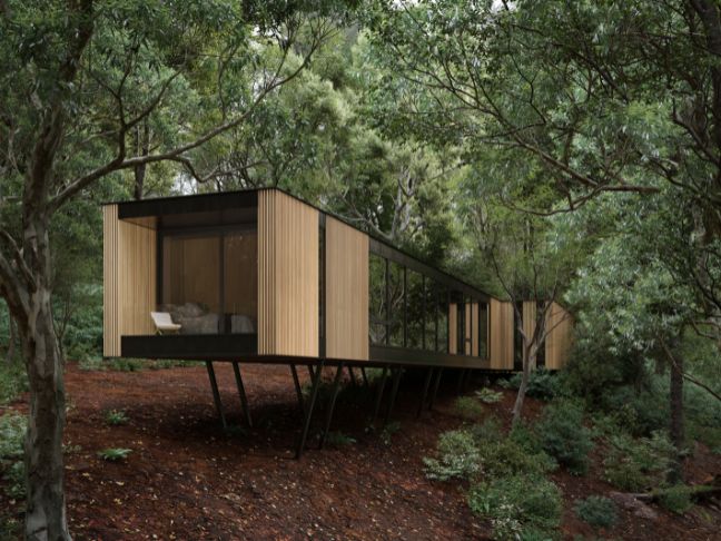 An ultra-modern home in the forest featuring floor-to-ceiling windows and a sliding patio door on the end.
