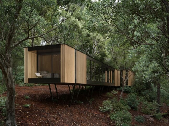 An ultra-modern home in the forest featuring floor-to-ceiling windows and a sliding patio door on the end.