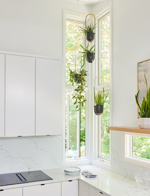 An all-white kitchen stacked set of corner windows with several hanging plants.
