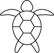 Turtle Glass Turtle Glass