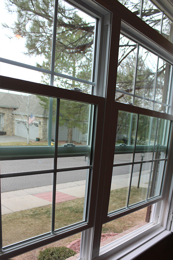 A view of vinyl windows with a green frame, showcasing a street and trees outside.