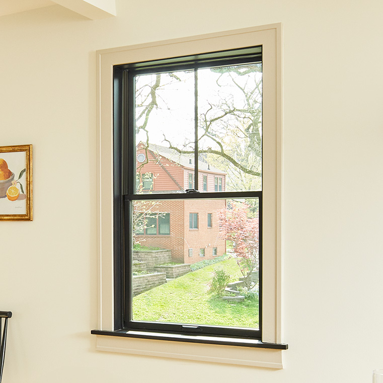 a black lifestyle series window with built-in grilles