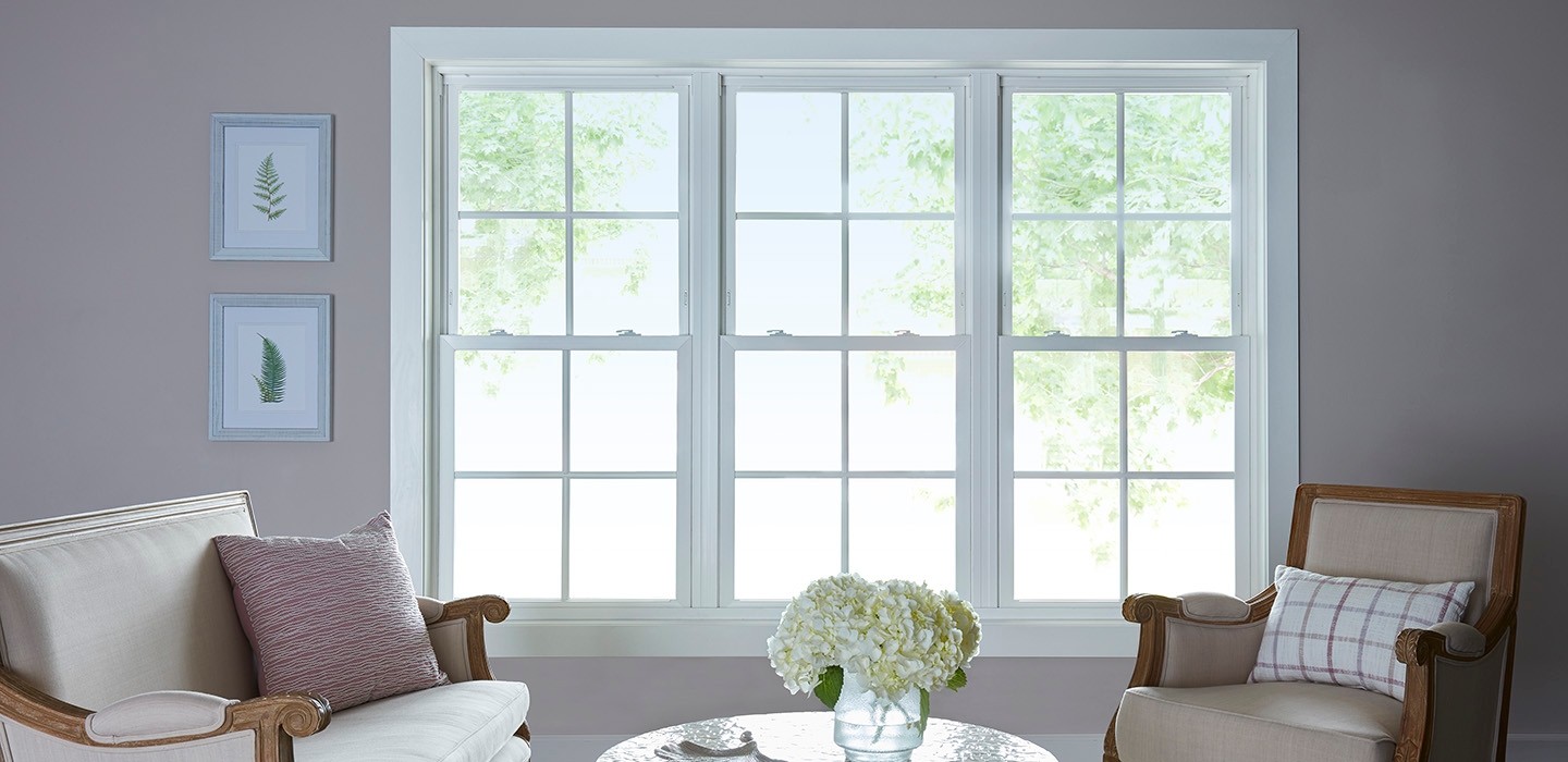 250 Series Windows | Pella