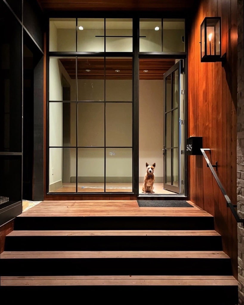 A black floor-to-ceiling window with grilles is adjacent to the front door which has a small dog looking out of it.