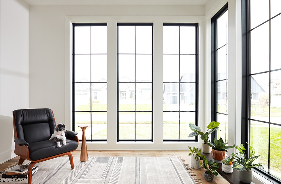 a minimalist contemporary sunroom surrounded by black tall picture windows