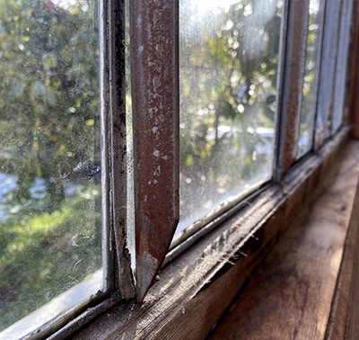 a window viewed close-up with rotten wood sill